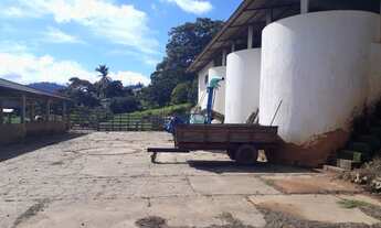 Imagem 4: Fazenda 104 Alqueires, 28 Alqueires em Café, 3 Alqueires em Eucalipto, 50 Alqueires em Pas