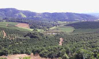 Imagem: Fazenda 104 Alqueires, 28 Alqueires em Café