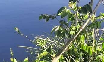 Imagem: Fazenda 208 Alqueires, Rico em Água com