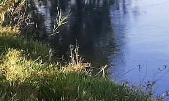 Imagem 2: Fazenda 208 Alqueires, Rico em Água com Rio e Lagos, Casa Sede, Casa Caseiro, Curral Compl