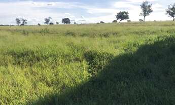 Imagem 2: Fazenda 125 Alqueires, Rico em Água com Represa e Um Corrego, Topografia Plana, Dupla Apti