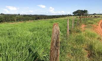 Imagem 5: Fazenda 125 Alqueires, Rico em Água com Represa e Um Corrego, Topografia Plana, Dupla Apti