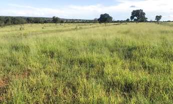 Imagem: Fazenda 125 Alqueires, Rico em Água com