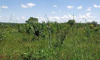 Imagem 7: Fazenda 125 Alqueires, Rico em Água com Represa e Um Corrego, Topografia Plana, Dupla Apti