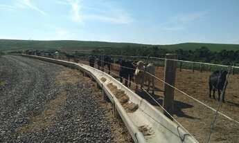 Imagem 7: Fazenda 152 Alqueires, Boa de Água com Riachos e Poços Naturais, 110 Alqueires em Área Pla