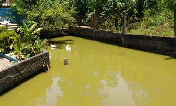 Imagem 5: Chácara 1375m2, Rica em Água com Lago, Casa Sede com 3 Dormitórios, 1 Suíte c/ Closet, Seg