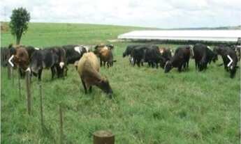 Imagem 4: Fazenda de luxo à venda em Área Rural de Bauru-SP: 16 quartos, 10 suítes, 7 salas, 18 banh