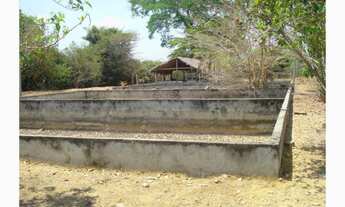 Imagem 6: Fazenda 9200 Hectares, Rica em Água com Lagos, Casa Sede, Casa de Caseiro, Curral, Muito P