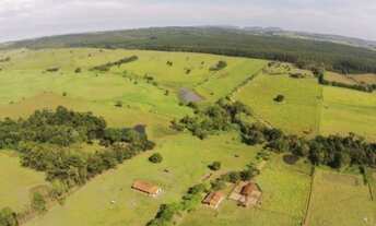 Imagem 6: EXCELENTE FAZENDA EM CANA NA REGIÃO DE TATUÍ - SP ?? Área Total: 80 Alqueires Área em