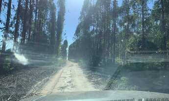 Imagem 6: FAZENDA COM EUCALIPTO A VENDA EM MINAS GERAIS - MG ?? - localizada em Brasilândia-MG * Á