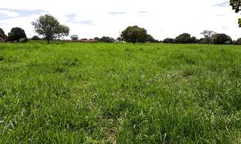 Imagem 4: Fazenda 501 Alqueires, Rica em Água com Represas, Rio E Nascentes, Dupla Aptidão, 100% Apr