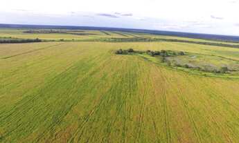 Imagem: Fazenda 1360 Alqueires, Rica em Água com