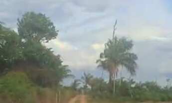 Imagem 5: Fazenda 1576 Hectares, 600 Hectares Abertos com Possibilidade de Abrir Mais, Ótima Localiz