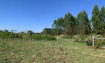 Imagem 2: FAZENDA COM EUCALIPTO A VENDA EM MINAS GERAIS - MG ?? - localizada em Brasilândia-MG * Á