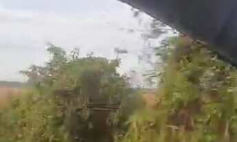 Imagem 6: Fazenda 1576 Hectares, 600 Hectares Abertos com Possibilidade de Abrir Mais, Ótima Localiz