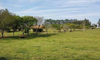 Imagem 4: EXCELENTE FAZENDA EM CANA NA REGIÃO DE TATUÍ - SP ?? Área Total: 80 Alqueires Área em