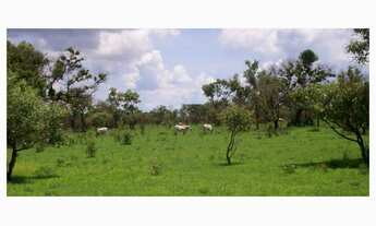 Imagem 5: Fazenda 9200 Hectares, Rica em Água com Lagos, Casa Sede, Casa de Caseiro, Curral, Muito P