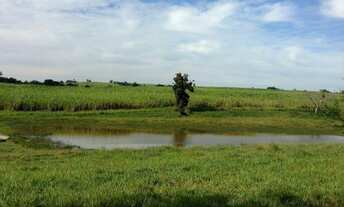 Imagem 5: EXCELENTE FAZENDA EM CANA NA REGIÃO DE TATUÍ - SP ?? Área Total: 80 Alqueires Área em