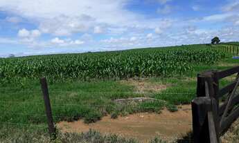 Imagem 3: Fazenda 501 Alqueires, Rica em Água com Represas, Rio E Nascentes, Dupla Aptidão, 100% Apr