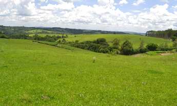 Imagem: Fazenda 160 Alqueires, Rica em Água com