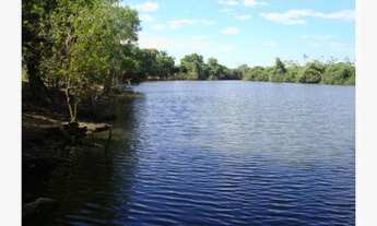 Imagem 4: Fazenda 9200 Hectares, Rica em Água com Lagos, Casa Sede, Casa de Caseiro, Curral, Muito P