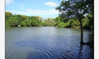 Imagem 3: Fazenda 9200 Hectares, Rica em Água com Lagos, Casa Sede, Casa de Caseiro, Curral, Muito P