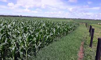 Imagem 7: Fazenda 501 Alqueires, Rica em Água com Represas, Rio E Nascentes, Dupla Aptidão, 100% Apr