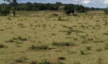 Imagem: Fazenda 250 Alqueires, Rica em Água com