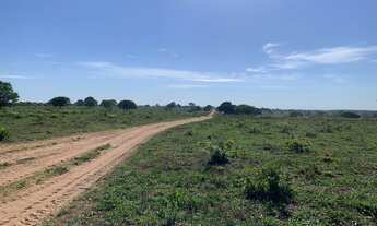Imagem 3: FAZENDA COM EUCALIPTO A VENDA EM MINAS GERAIS - MG ?? - localizada em Brasilândia-MG * Á