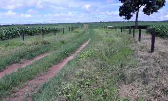 Imagem 6: Fazenda 501 Alqueires, Rica em Água com Represas, Rio E Nascentes, Dupla Aptidão, 100% Apr