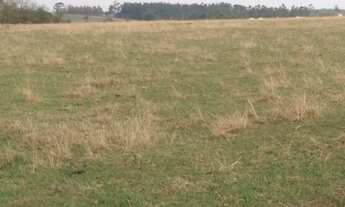 Imagem: Chácara 4 Alqueires, Acesso Asfaltado