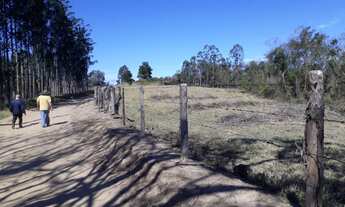 Imagem: Chácara 3,5 Alqueires, Rica em Água com