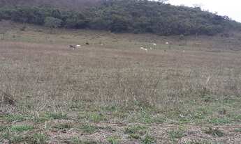 Imagem: Fazenda 190 Alqueires, Rica em Água com