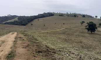 Imagem 4: Fazenda 190 Alqueires, Rica em Água com 9 Nascentes, 100 Alqueires em Pasto, 70 Alqueires