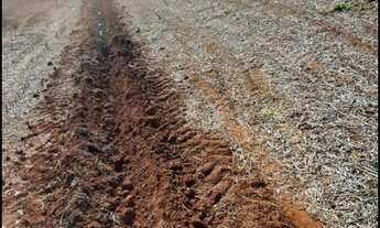 Imagem 5: Fazenda 53 Alqueires, 12 Mil Pés de Laranja, 3 Mil Pés de Abacate, Planta 40 Alqueires, Ri