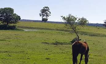 Imagem: Sítio 26,5 Alqueires, Rico em Água com