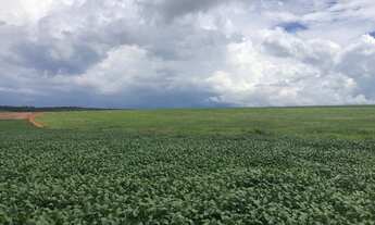 Imagem: Fazenda 3035 Hectares, 60 Plantado em Soja