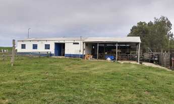 Imagem: Fazenda 50 Alqueires 100 Soja Sede Completa