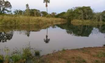 Imagem 2: Fazenda 117 Alqueires Curral Completo, Tronco e Balança, 90% Aproveitamento da Terra Boa