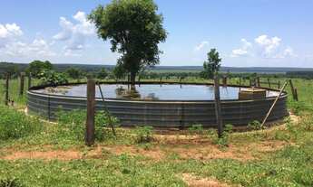 Imagem 7: Fazenda 117 Alqueires Curral Completo, Tronco e Balança, 90% Aproveitamento da Terra Boa