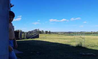 Imagem 3: Fazenda 50 Alqueires 100% Soja Sede Completa, Boa de Água, Beira do Asfalto, Boa Topografi