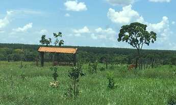 Imagem 4: Fazenda 117 Alqueires Curral Completo, Tronco e Balança, 90% Aproveitamento da Terra Boa