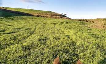 Imagem 7: Fazenda 50 Alqueires 100% Soja Sede Completa, Boa de Água, Beira do Asfalto, Boa Topografi