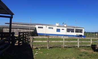 Imagem 4: Fazenda 50 Alqueires 100% Soja Sede Completa, Boa de Água, Beira do Asfalto, Boa Topografi