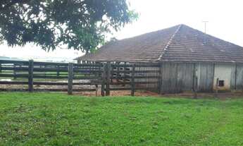 Imagem: Fazenda 140,5 Alqueires, Topografia Plana
