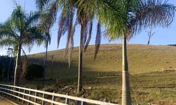 Imagem 7: Sitio 14 Alqueires 2 km da rodovia, Casa Sede, Piscina, Tanque de Peixes, Quiosque, Aves E