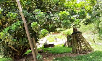 Imagem 5: Sítio 10 Alqueires Ótima área para Gado, Eucalipto ou Pinus Casa Sede boa e galpão simples