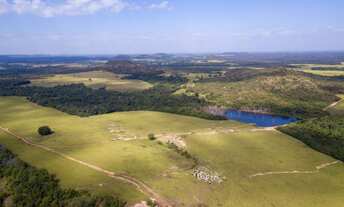 Imagem: FAZENDÃO A VENDA NO ESTADO DO TOCANTINS-TO