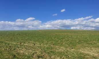 Imagem 4: EXCELENTE FAZENDA A VENDA EM BOTUCATU-SP ?? Área Total 102 Alqueires 80% de Aproveitame