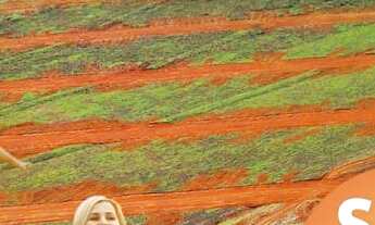 Imagem 4: Lançamento Loteamento Terra Santa Lotes a Partir de 175m2 ótima localização, Excelente Inv